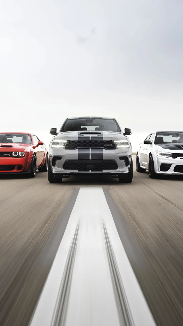 Marketing pentru showroom Auto din Timișoara